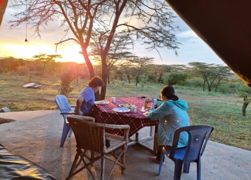 Sunrise and Sundown: Unforgettable Moments on a Masai Mara Safari